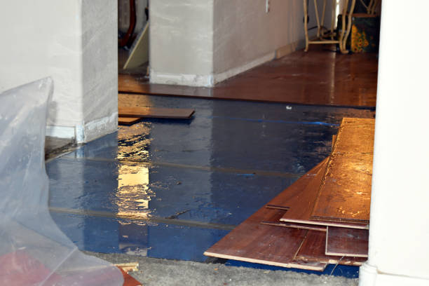 Professional Flood Cleanup technician working in Skyforest, CA